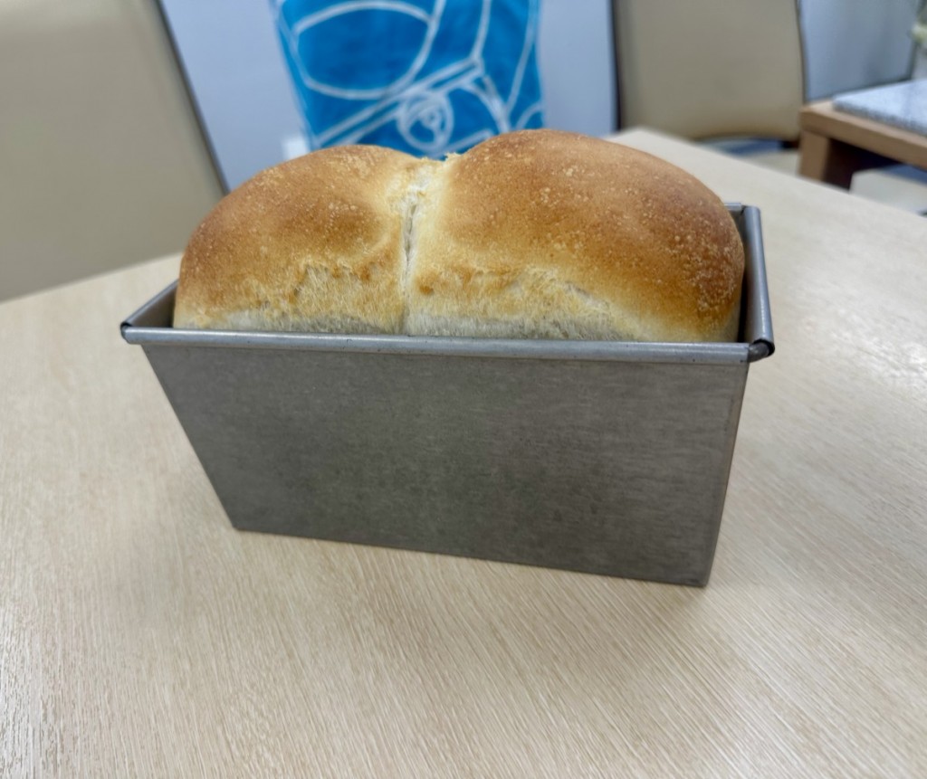 ホシノ型